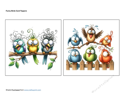 Funny Birds Card Toppers