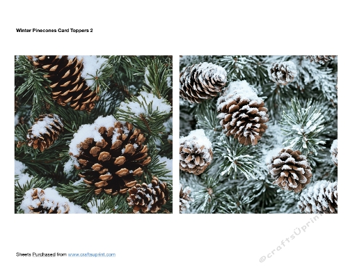 Winter Pinecones Card Toppers