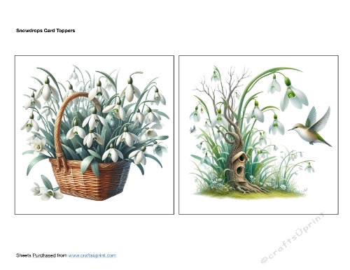 Snowdrops Card Toppers