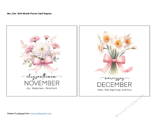 Nov Dec Birth Month Flower Card Toppers