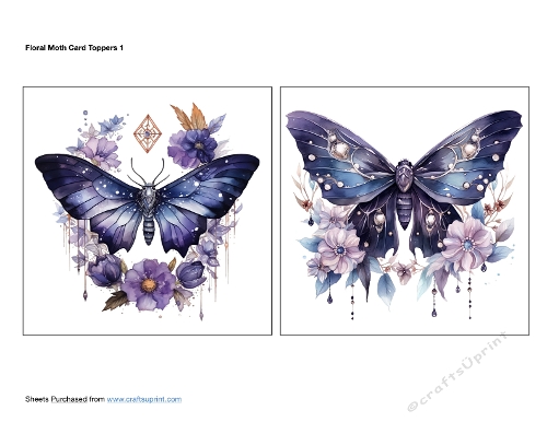 Floral Moth Card Toppers