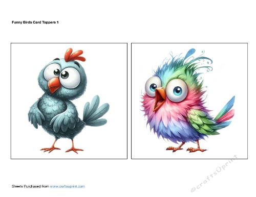 Funny Birds Card Toppers 1