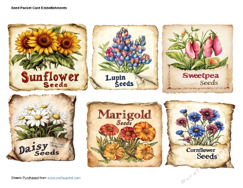 Seed Packet Card Embellishments
