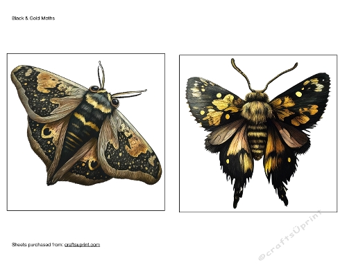 Black Gold Moths Card Toppers