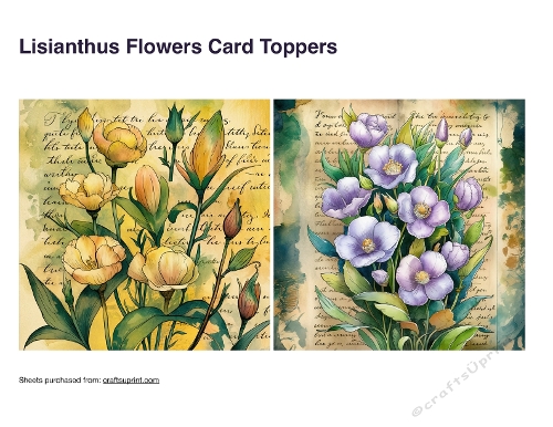 Lisianthus Flowers Card Toppers
