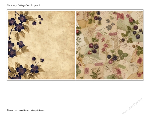 Blackberry  Cottage Card Toppers 3