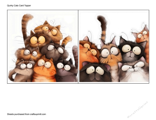 Quirky Cats Card Topper