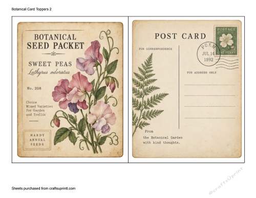 Botanical Card Toppers 2