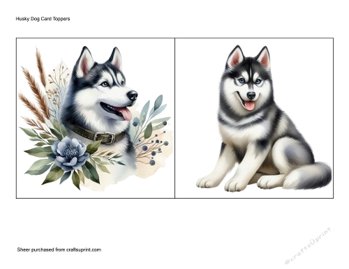 Husky Dog Card Toppers