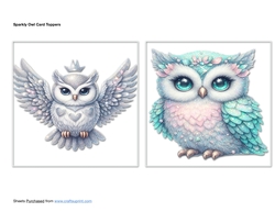 Sparkly Owl Card Toppers