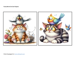 Funny Bird Cat Card Toppers