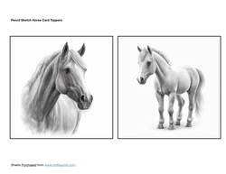 Pencil Sketch Horse Card Toppers