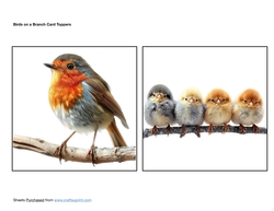 Birds on a Branch Card Toppers