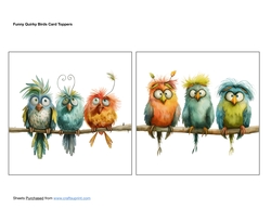 Funny Quirky Birds Card Toppers