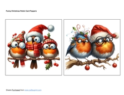 Funny Christmas Robin Card Toppers