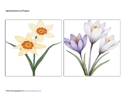 Spring Blooms Card Toppers
