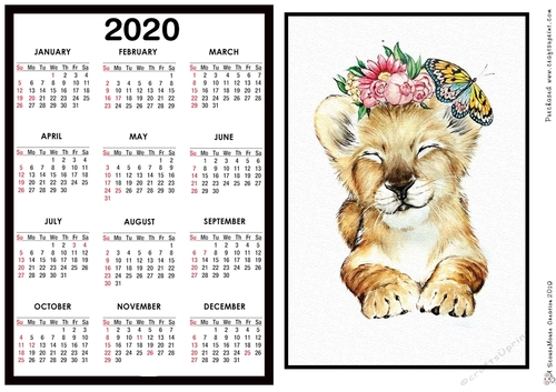 2020 Calendar -  Landscape Lion cub