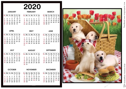 2020 Calendar -  Landscape Picnic stowaways