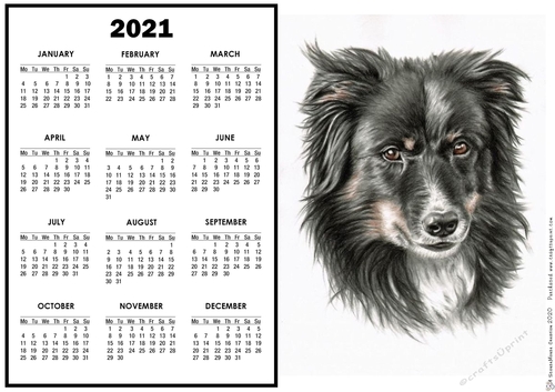 2021 Calendar Collie