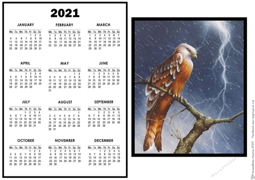 2021 Calendar Weathering the Storm