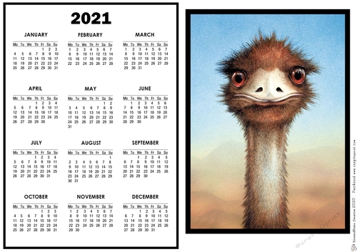 2021 Calendar Ostrich