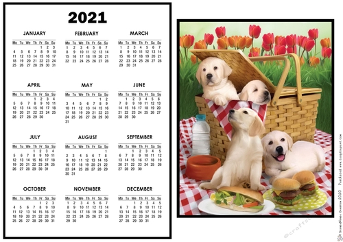 2021 Calendar Picnic Stowaways