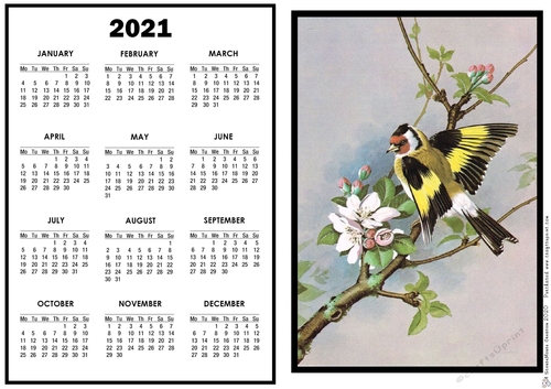 2021 Calendar Goldfinch on Branch