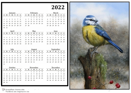 2022 Calendar Bluetit on Stump