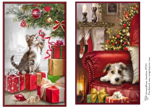 kitty tree and relaxing pup toppers