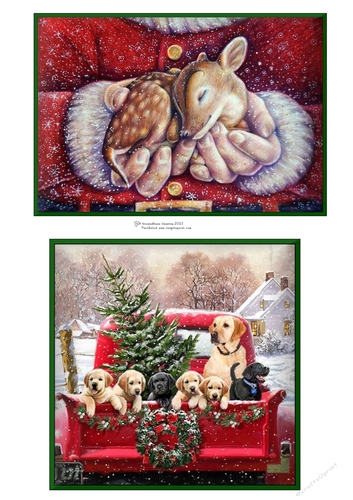 Fawn and Dogs in Truck Toppers