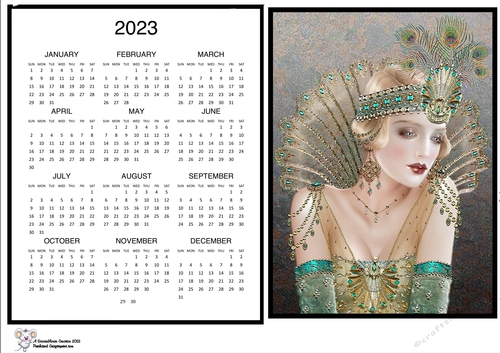 Peacock Headdress 2023