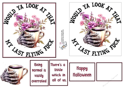 Flying F