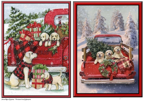 Dogs in Truck