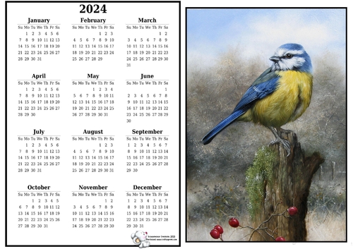 2024 calendar Blue Tit on Stump