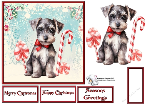 Miniature Schnauzer Pup with candy cane