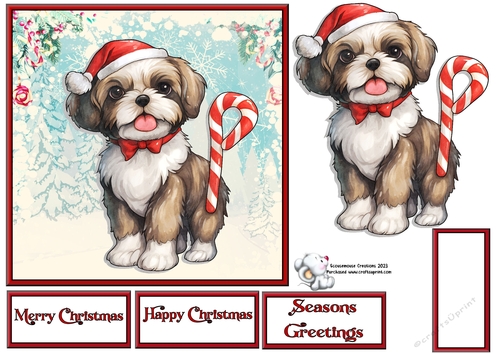 Shih Tzu pup with candy cane