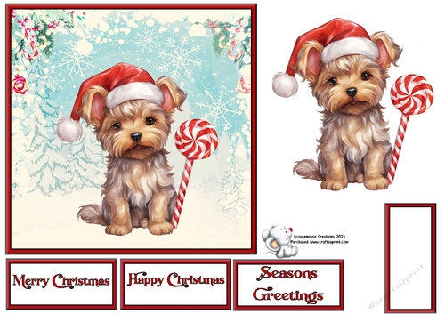 Yorkie Pup with Candy Cane