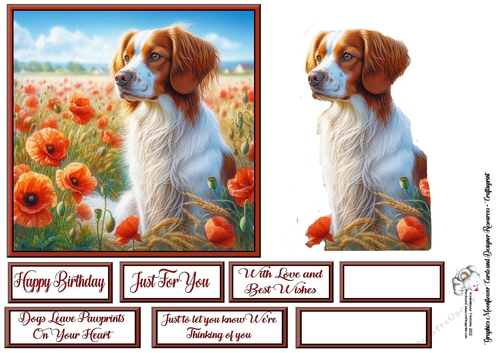 Poppy Field Dog  (2) 1