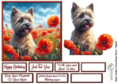 Poppy Field Dog  (4) 2
