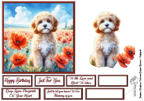 Poppy Field Dog  (5) 2