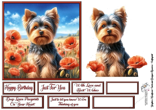 Poppy Field Dog  (7) 1