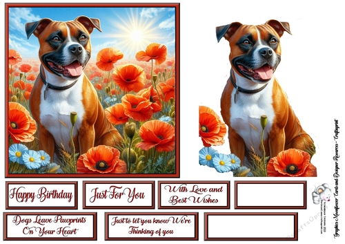 Poppy Field Dog  (7) 3