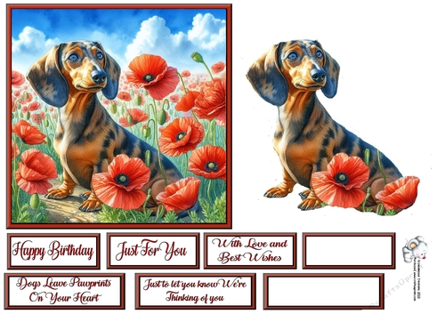 Poppy Field Dog  (10) 3