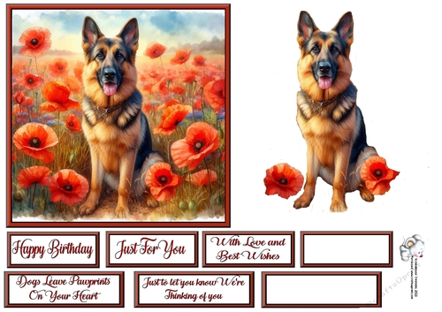 Poppy Field Dog  (11) 1