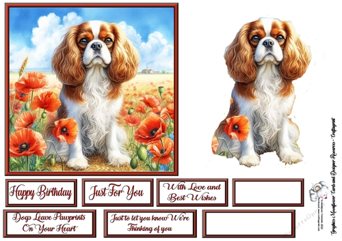 Poppy Field Dog  (5) 1