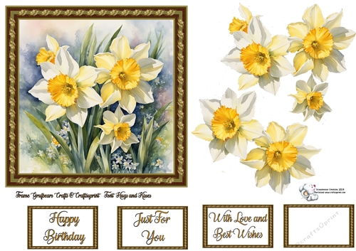 Spring Daffs in Acanthus Frame