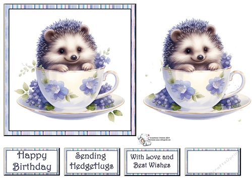 Teacup Hedgehog in Blue (Mix 1) 1