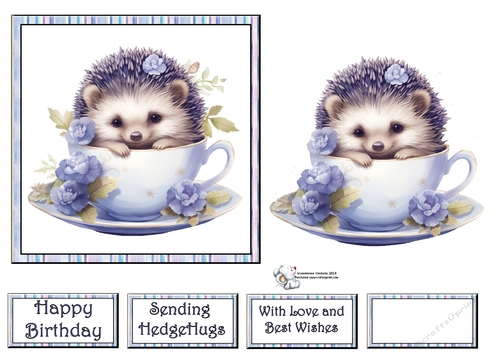 Teacup Hedgehog in Blue (Mix 1) 2
