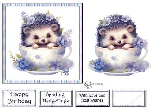 Teacup Hedgehog in Blue (Mix 1) 4