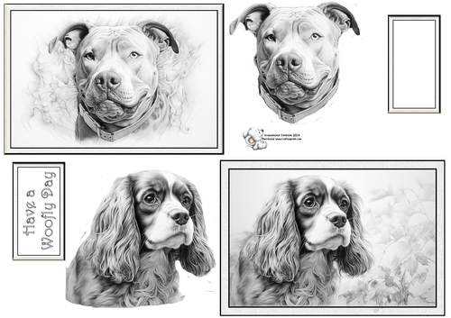 Pitbull and Cavalier